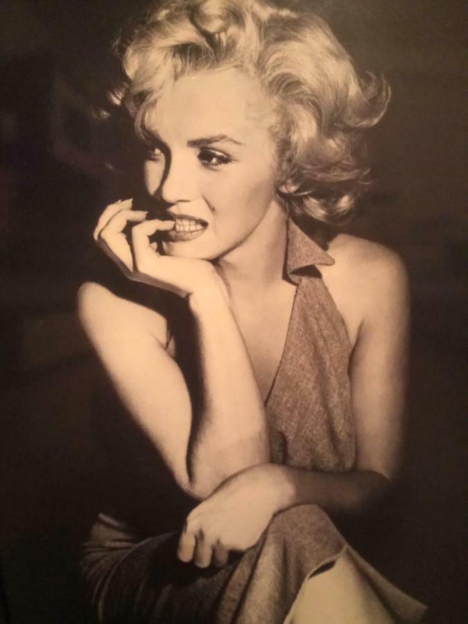 Apartament Marilyn Monroe Apartament Radom Zewnętrze zdjęcie